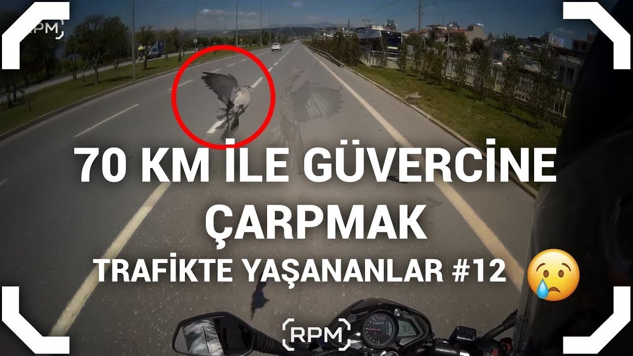 70 km Hızla Güvercine Çarpmak - Takipçilerimize Motovlog Çektirdik | Günlük Gözlemler #12 [RPM]