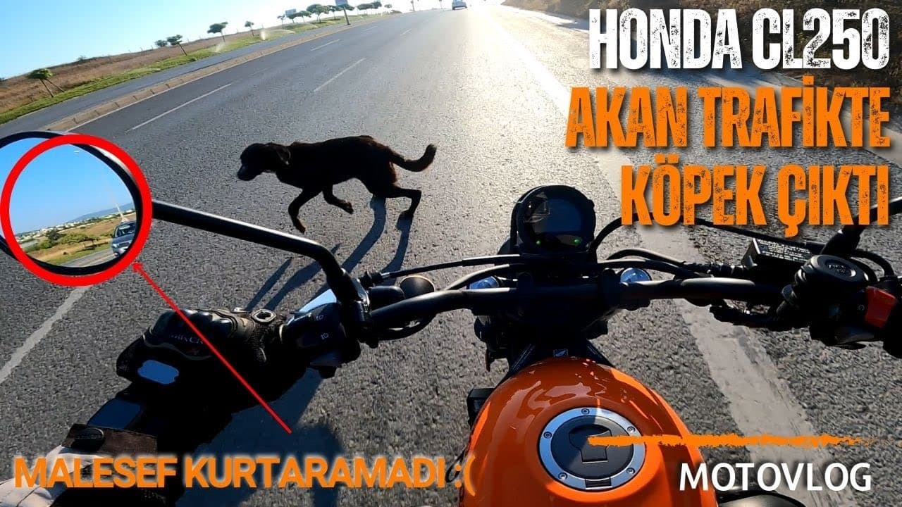 HONDA CL250 İLK İZLENİMLER | İKİNCİ GÜNDEN NAZAR ÇIKTI :([RPM]
